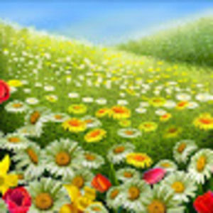 Meet your Posher, Madeline